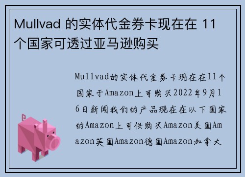 Mullvad 的实体代金券卡现在在 11 个国家可透过亚马逊购买 